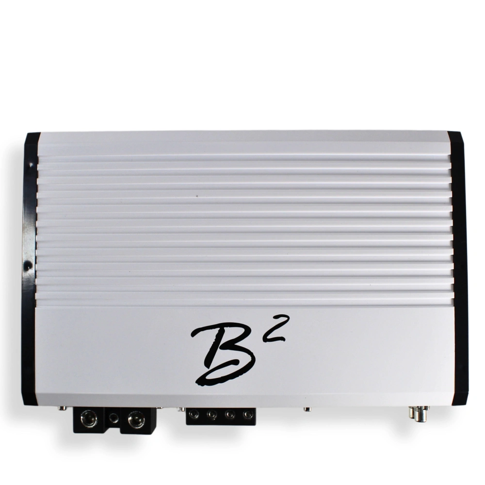B2 Audio RAGE 2300.2, tvåkanalssteg