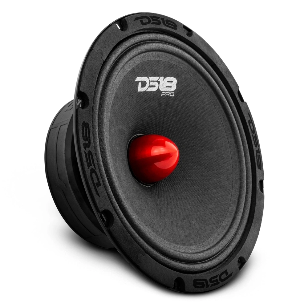 4st DS18 PRO-GM8B i raggarplanka med MAD PT2-254 horndiskanter