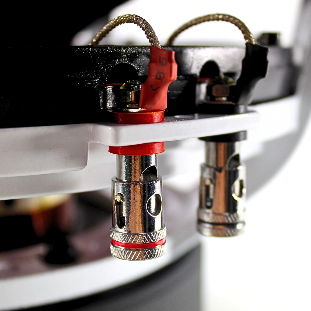B2 AUDIO RIOT D2 V2, 12tum 2X2 OHM