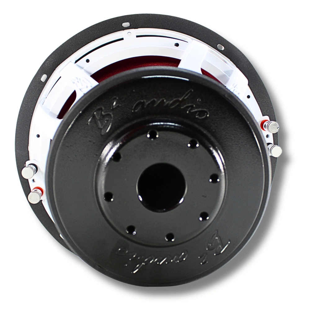 B2 AUDIO RIOT D2 V2, 12tum 2X2 OHM