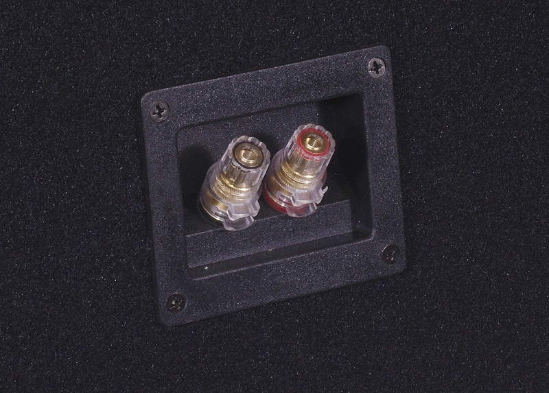 Portad 2x12 tum baslåda med 2st DS18 ZXI12.2D