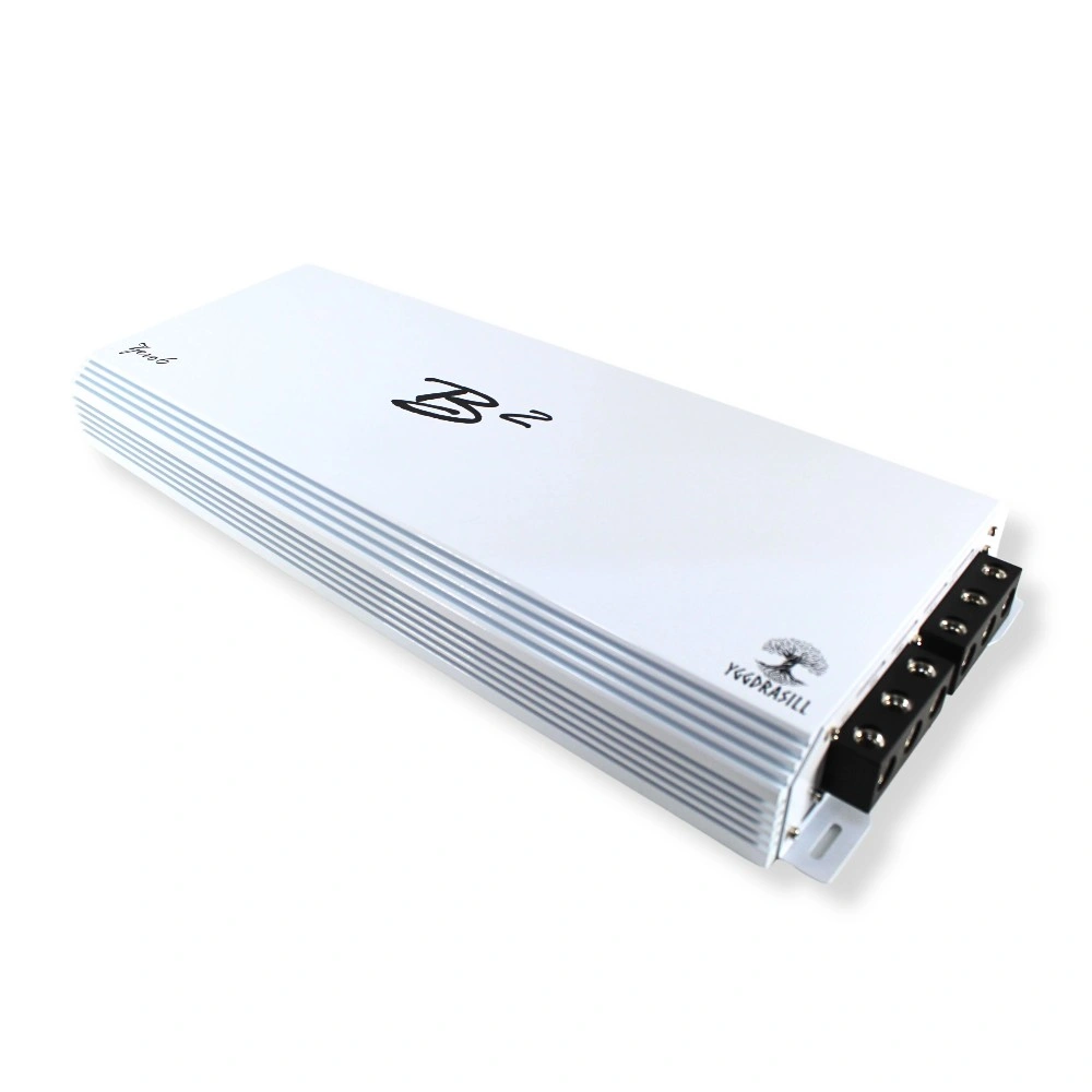 B2 Audio Zero6 Yggdrasil, monoblock