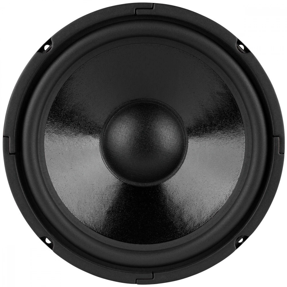 Dayton Audio DC250-8, 10tums midbas