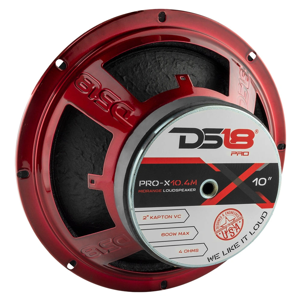 DS18 PRO-X10.4M och GTX1XL, högljudd 4x10 raggarplanka