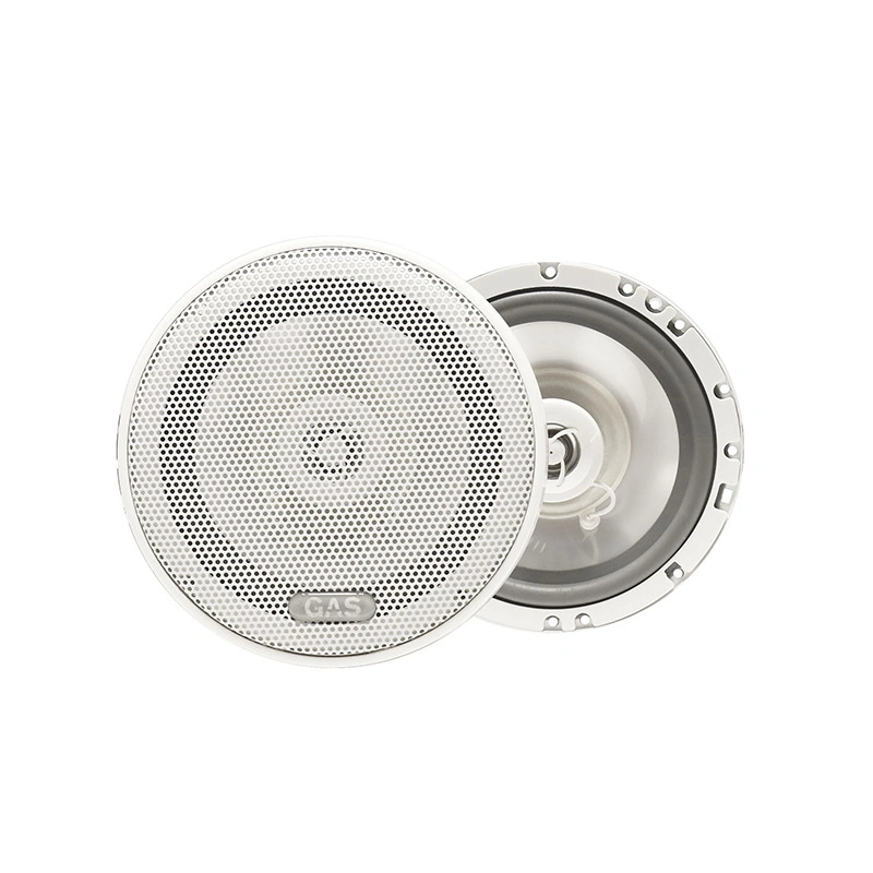 DS18 MRX1 och 2 par GAS MS62, marinpaket