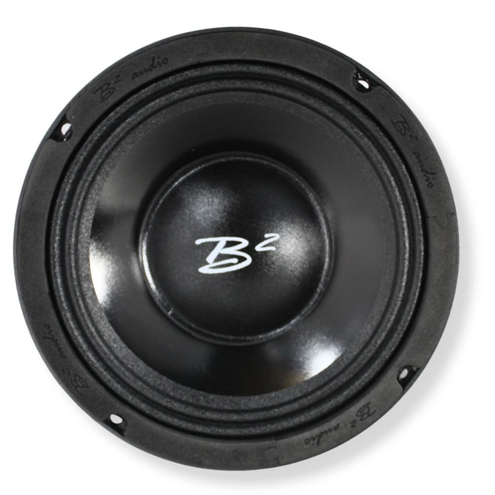 B² Audio RAGE 8PWR 8 tum midbas, par