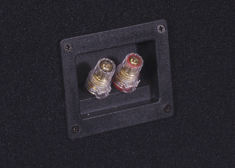 2-pack DLS RCW12.D2 i låda med GAS MAX A2-2500.1DL, baspaket