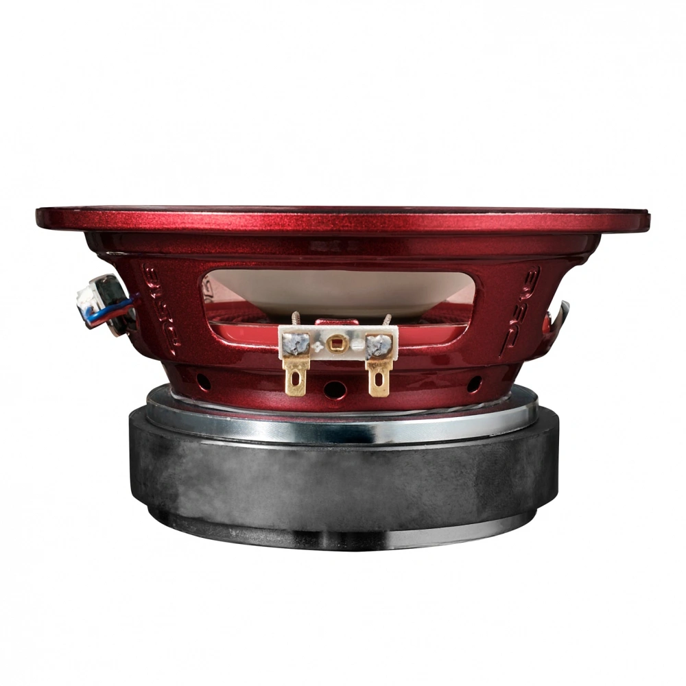 DS18 PRO-X6.4RGB, 6.5 tums RGB LED-midbas, styck