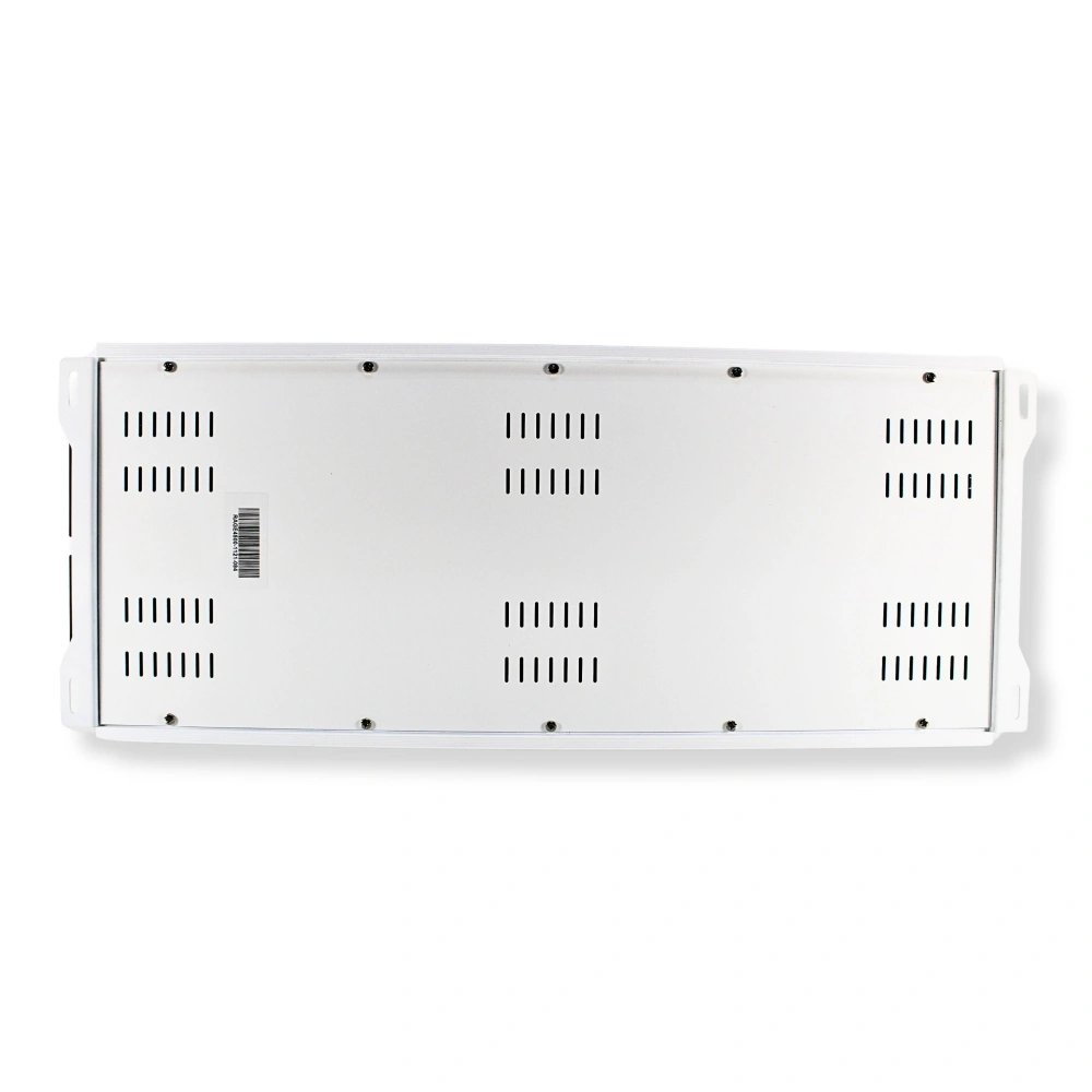 B² Audio RAGE 4500.1, monoblock
