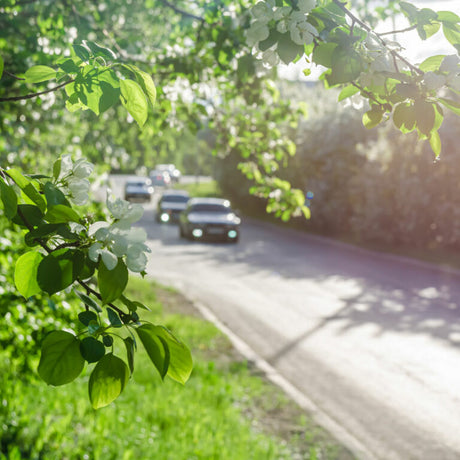 Kemetyl Färdigblandad sommarspolarvätska äpple - 3L